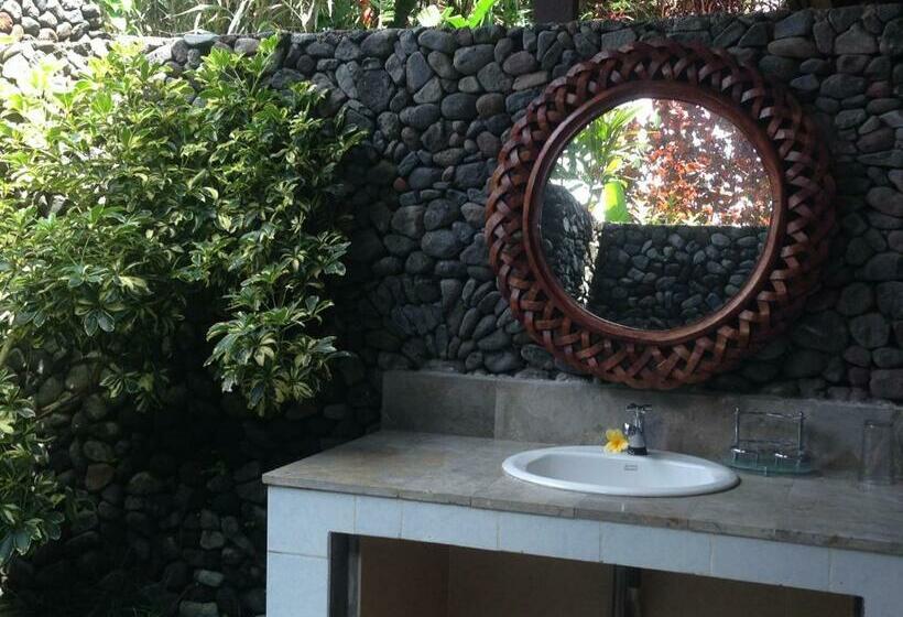 חדר סטנדרט, Nirarta Center For Living Awareness