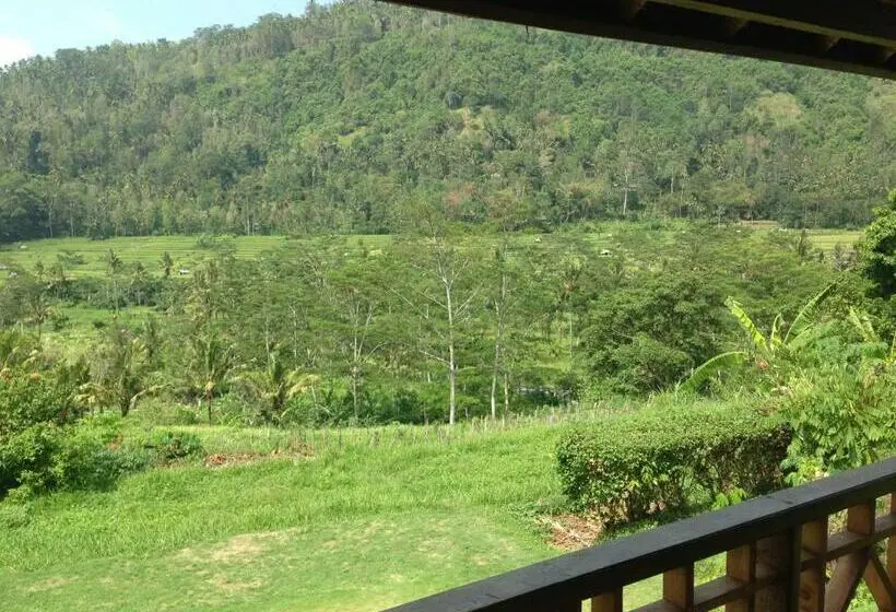 デラックスルーム, Nirarta Center For Living Awareness