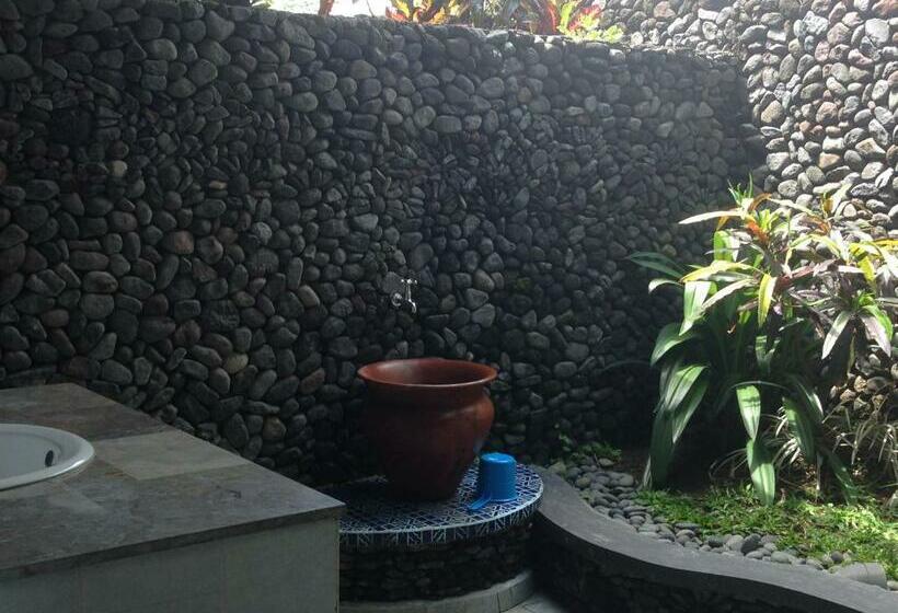 חדר סופריור, Nirarta Center For Living Awareness