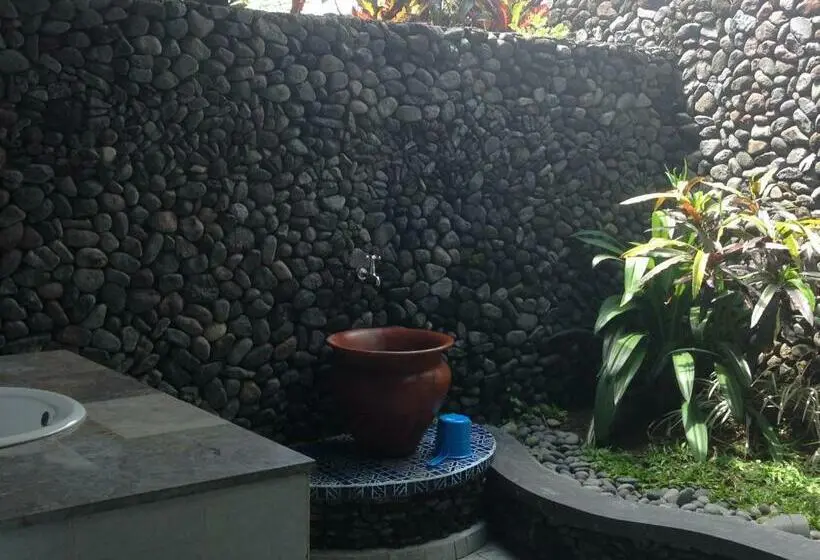 スーペリアールーム, Nirarta Center For Living Awareness