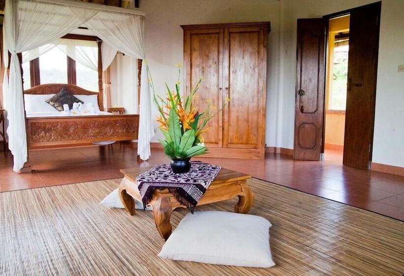 חדר סטנדרט, Nirarta Center For Living Awareness