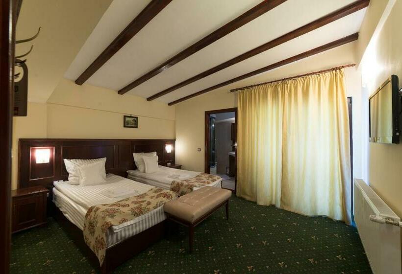 דירת חדר, Vila Steaua Nordului