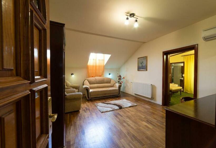 דירת חדר, Vila Steaua Nordului