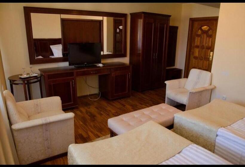 חדר סטנדרט, Vila Steaua Nordului