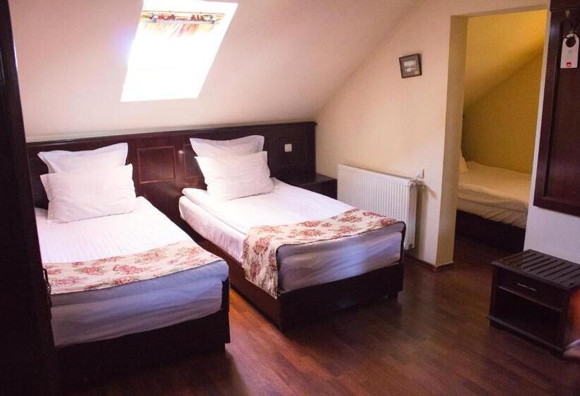 חדר סטנדרט לשלושה, Vila Steaua Nordului