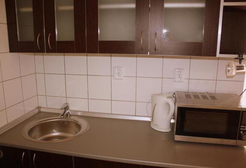 آپارتمان 1 خوابه, Penzion A Caférestaurant U Lávky