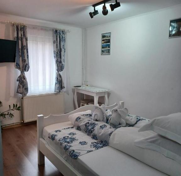 スタンダードルーム, Pensiunea Ana Cristina