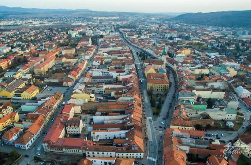 スタンダードルーム, Alex Pension