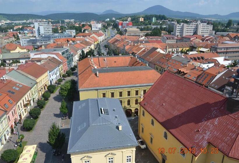 １ベッドルームドゥプレックスアパートメント, Alex Pension