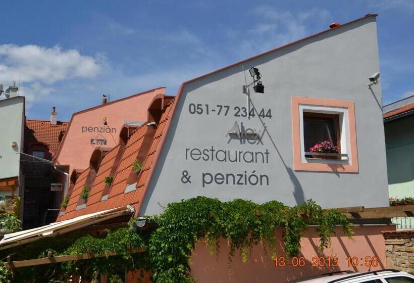 １ベッドルームドゥプレックスアパートメント, Alex Pension