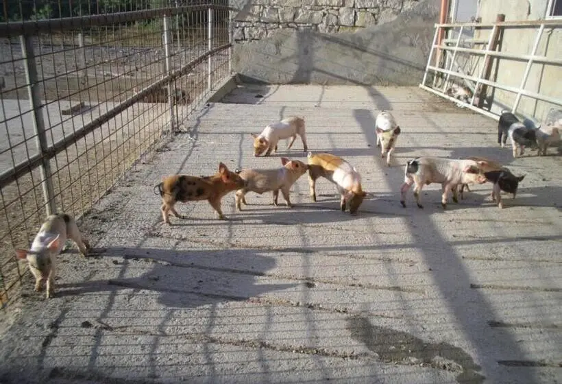 スタンダードルーム, Agriturismo Agrifoglio