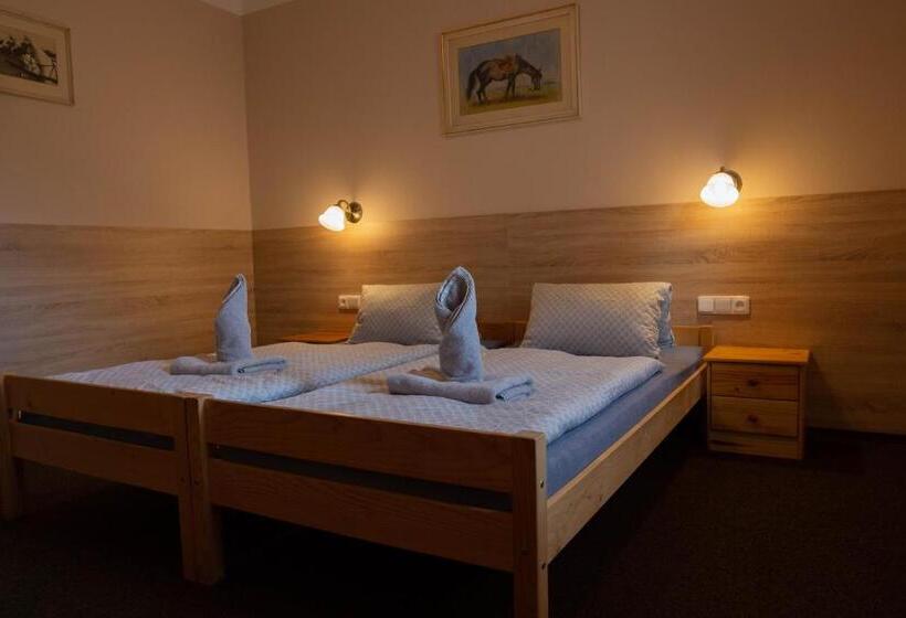 חדר סטנדרט, Penzion štekrův Mlýn