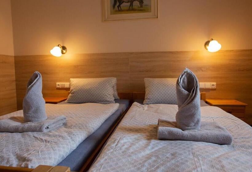 חדר סטנדרט, Penzion štekrův Mlýn