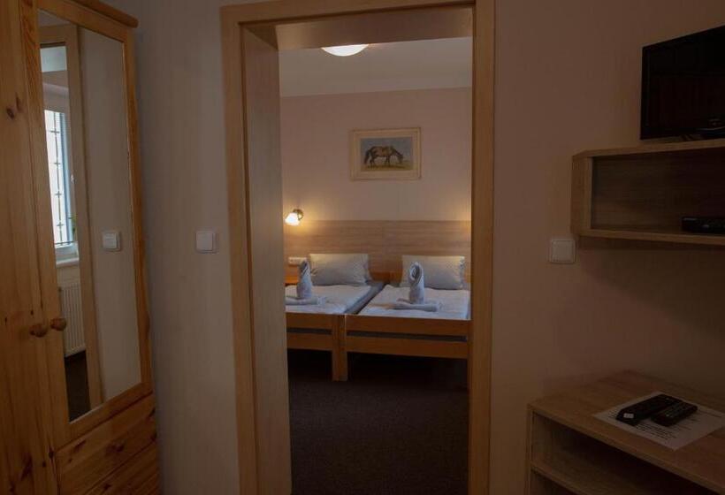 חדר סטנדרט לשלושה, Penzion štekrův Mlýn