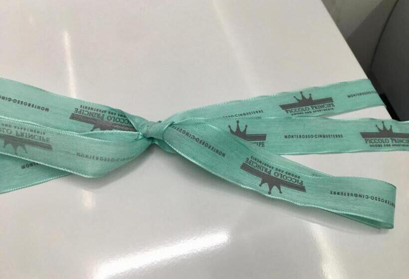 Номер Superior Кровать Кинг, Piccolo Principe Affittacamere