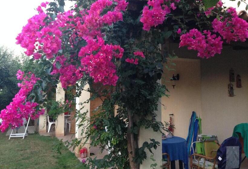 شقة غرفة واحدة, Appartamenti Pousada Michelino