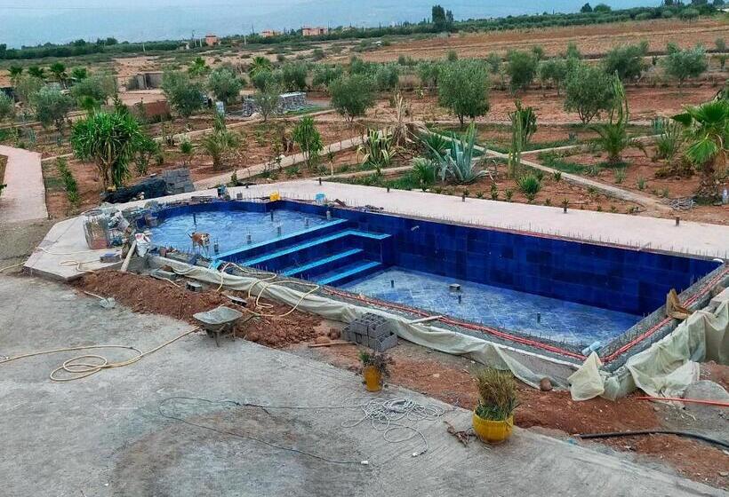 اتاق استاندارد, Chez Jm Saida