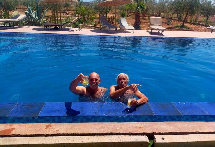 اتاق استاندارد, Chez Jm Saida