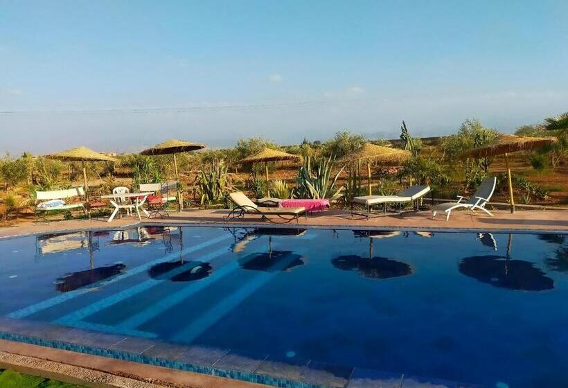 اتاق استاندارد, Chez Jm Saida