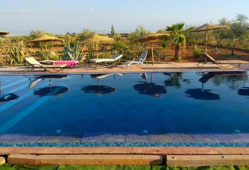 اتاق استاندارد, Chez Jm Saida