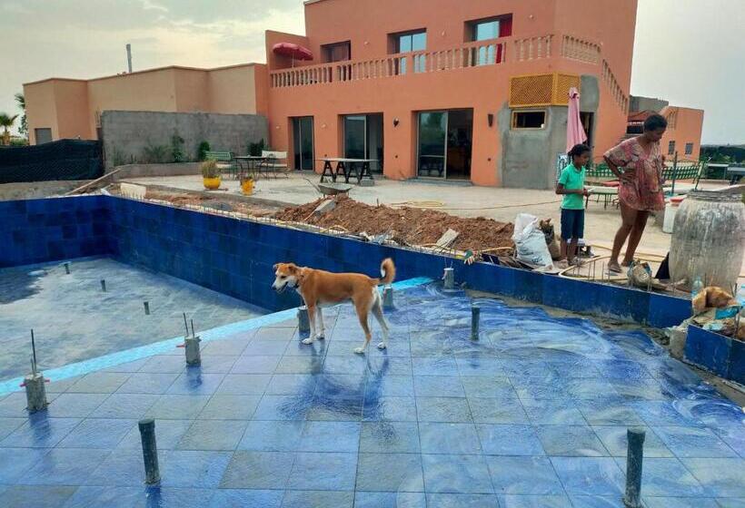 اتاق استاندارد, Chez Jm Saida