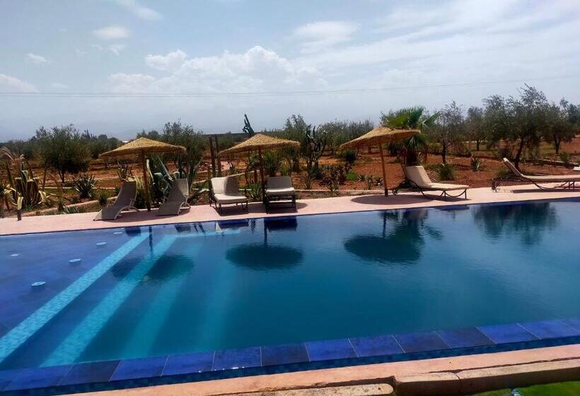 اتاق استاندارد, Chez Jm Saida