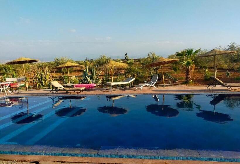 اتاق استاندارد, Chez Jm Saida