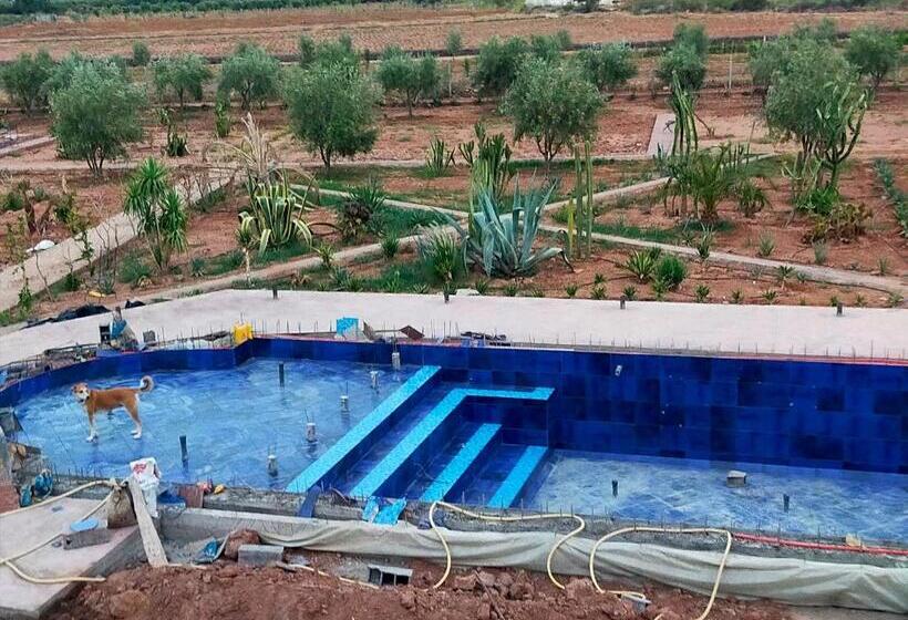 Номер Стандарт, Chez Jm Saida