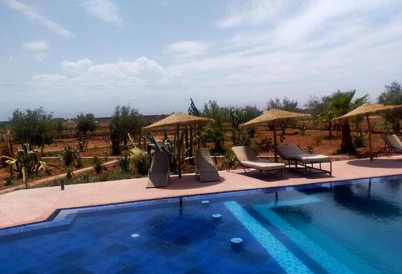 اتاق استاندارد, Chez Jm Saida