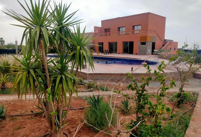 اتاق استاندارد, Chez Jm Saida