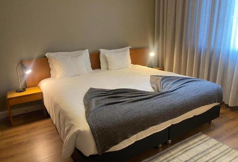 Апартаменты 1 Спальня, Apartamentos São João