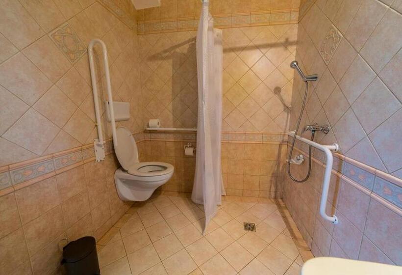 스탠다드 룸, Holiday Centrum