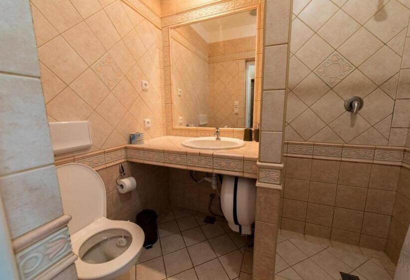 스탠다드 룸, Holiday Centrum