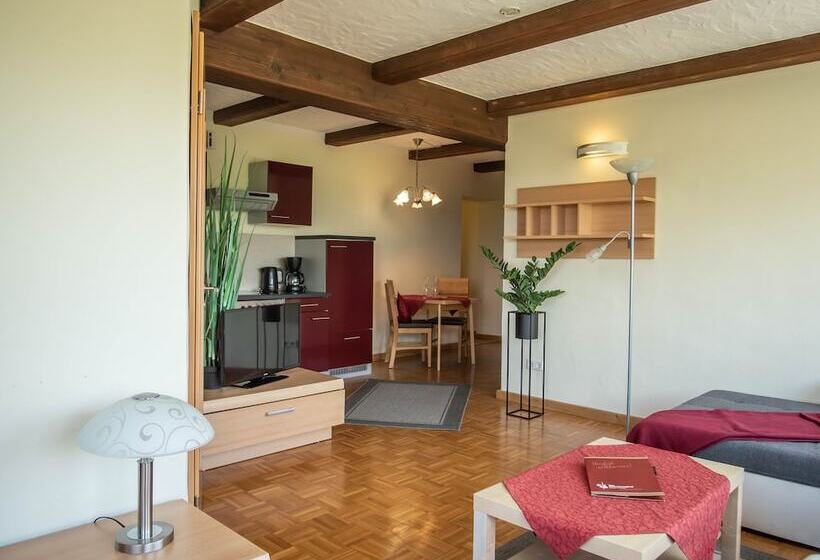 침실 1개 컴포트 아파트, Kirschberghof Gästehaus Und Weinverkauf