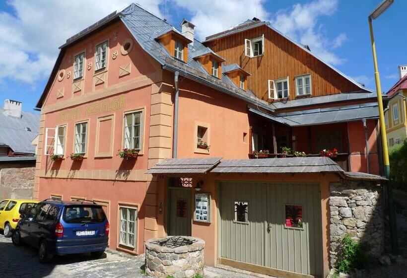 1階の1ベッドルームアパートメント, Penzion Nostalgia