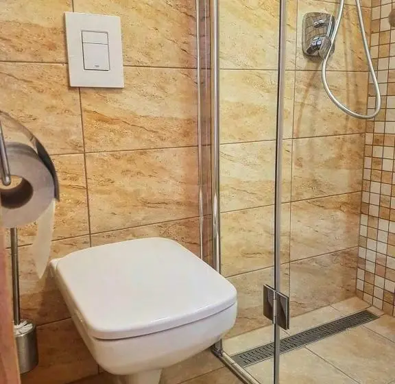 スタンダードルーム, Platán Panzió