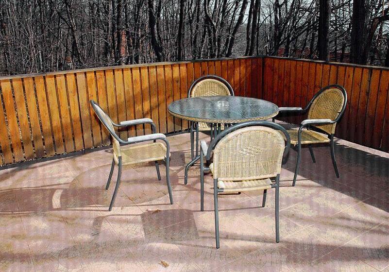 شقة غرفة واحدة مزودة بتراس, Platán Panzió