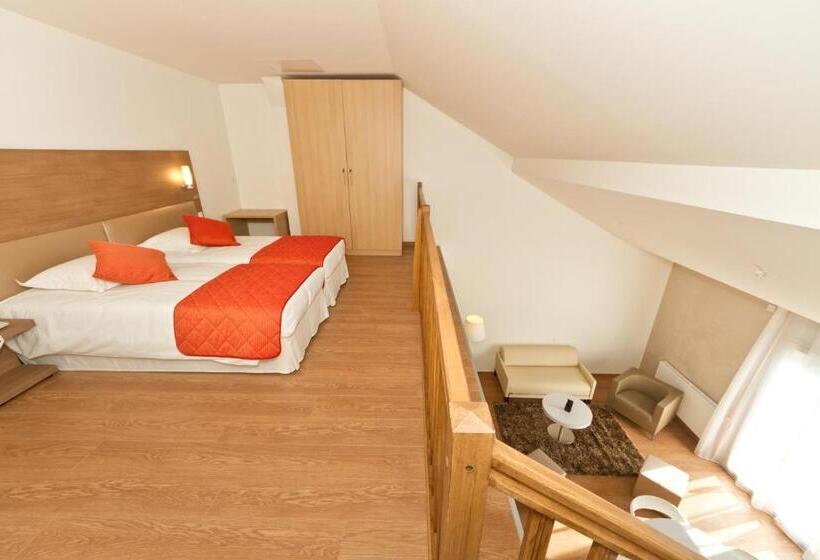 舒适套房, Villa Thermae Thonon Les Bains
