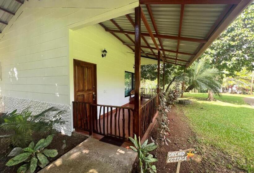 Люкс Вид на Сад, Blue Banyan Inn