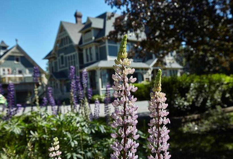 חדר סטנדרט, Victoria's Historic Inn