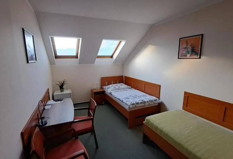 اتاق استاندارد, Penzion Aida Ostrava