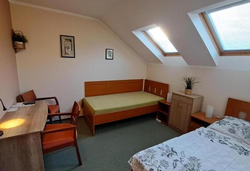 اتاق استاندارد, Penzion Aida Ostrava
