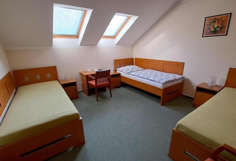 اتاق استاندارد سه نفره, Penzion Aida Ostrava