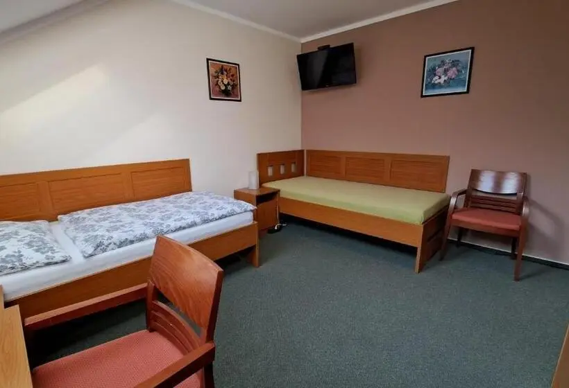 اتاق استاندارد سه نفره, Penzion Aida Ostrava
