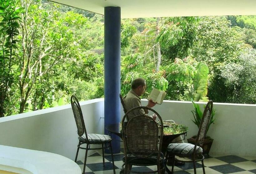 스탠다드 룸, Mindo Real