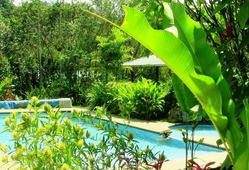 스탠다드 룸, Mindo Real