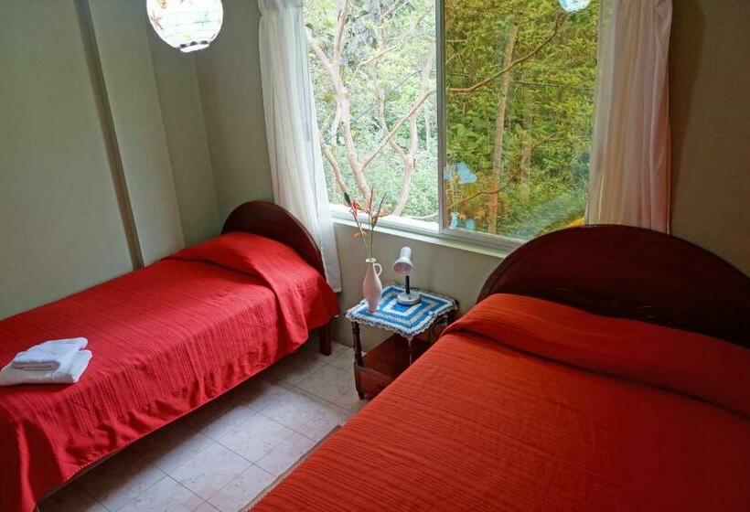 스탠다드 룸, Mindo Real