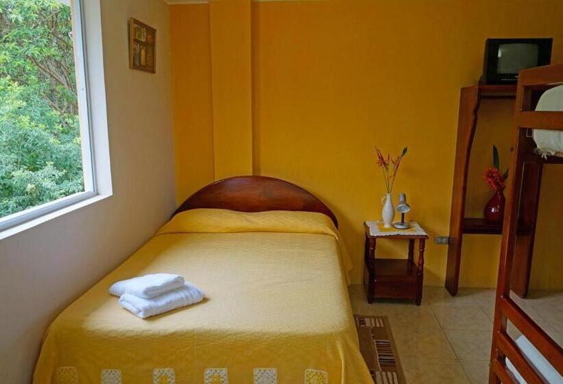 패밀리 룸, Mindo Real