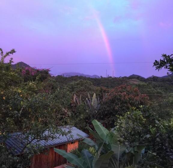 오두막, Mindo Real