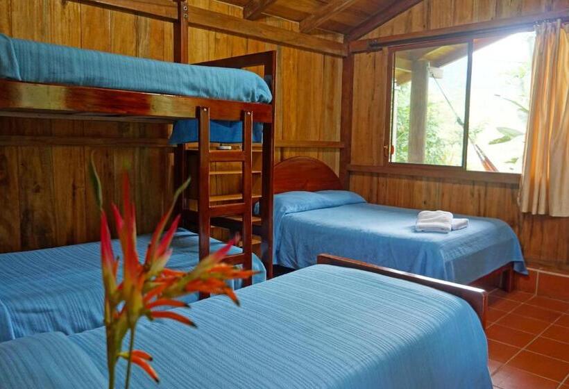 패밀리 방갈로, Mindo Real